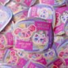 Holo - Why Not Ho Pichi & Rika Premium Holographic Stickers